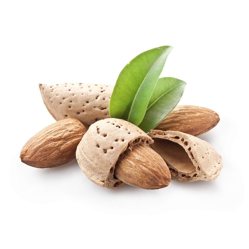 Amandes bio décortiquées 1 kg